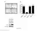 Fig. 07 - Methods and compositions for treating cancer