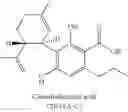 Fig. 41 - Methods and compositions for treating cancer