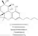 Fig. 70 - Methods and compositions for treating cancer