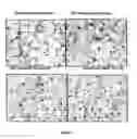 Fig. 03 - METHOD OF IMPROVING LIVER FUNCTION
