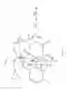 Fig. 06 - Peripheral opioid receptor antagonists and uses thereof