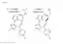 Fig. 02 - Compositions and methods for treating neoplasia, inflammatory disease and other disorders