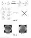 Fig. 06 - Guanine riboswitch binding compounds and their use as antibiotics