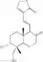 Fig. 11 - ANDROGRAPHOLIDE ANALOGS AND THEIR USE FOR MEDICATION