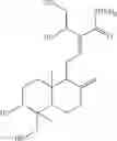 Fig. 16 - ANDROGRAPHOLIDE ANALOGS AND THEIR USE FOR MEDICATION