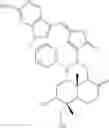 Fig. 160 - ANDROGRAPHOLIDE ANALOGS AND THEIR USE FOR MEDICATION