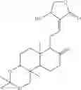 Fig. 18 - ANDROGRAPHOLIDE ANALOGS AND THEIR USE FOR MEDICATION