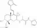 Fig. 19 - ANDROGRAPHOLIDE ANALOGS AND THEIR USE FOR MEDICATION