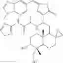 Fig. 240 - ANDROGRAPHOLIDE ANALOGS AND THEIR USE FOR MEDICATION