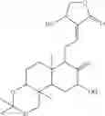 Fig. 27 - ANDROGRAPHOLIDE ANALOGS AND THEIR USE FOR MEDICATION