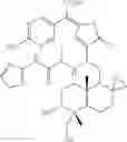 Fig. 287 - ANDROGRAPHOLIDE ANALOGS AND THEIR USE FOR MEDICATION