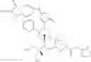 Fig. 433 - ANDROGRAPHOLIDE ANALOGS AND THEIR USE FOR MEDICATION