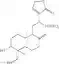 Fig. 61 - ANDROGRAPHOLIDE ANALOGS AND THEIR USE FOR MEDICATION
