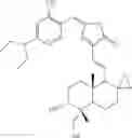 Fig. 76 - ANDROGRAPHOLIDE ANALOGS AND THEIR USE FOR MEDICATION