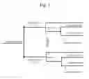 Fig. 02 - PERIPHERAL KAPPA RECEPTOR AGONISTS FOR REDUCING PAIN AND INFLAMMATION