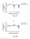 Fig. 09 - PERIPHERAL KAPPA RECEPTOR AGONISTS FOR REDUCING PAIN AND INFLAMMATION