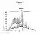 Fig. 02 - METHODS FOR TREATING DIABETES AND REDUCING BODY WEIGHT