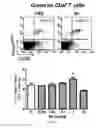 Fig. 03 - Pharmaceutical composition comprising bee venom-phospholipase A2 (BV-PLA2) for treating or preventing diseases related to degradation of abnormal regulatory T cell activity