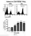 Fig. 04 - Pharmaceutical composition comprising bee venom-phospholipase A2 (BV-PLA2) for treating or preventing diseases related to degradation of abnormal regulatory T cell activity