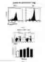 Fig. 08 - Pharmaceutical composition comprising bee venom-phospholipase A2 (BV-PLA2) for treating or preventing diseases related to degradation of abnormal regulatory T cell activity