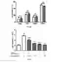 Fig. 09 - Pharmaceutical composition comprising bee venom-phospholipase A2 (BV-PLA2) for treating or preventing diseases related to degradation of abnormal regulatory T cell activity