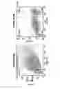 Fig. 34 - Pharmaceutical composition comprising bee venom-phospholipase A2 (BV-PLA2) for treating or preventing diseases related to degradation of abnormal regulatory T cell activity