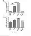 Fig. 41 - Pharmaceutical composition comprising bee venom-phospholipase A2 (BV-PLA2) for treating or preventing diseases related to degradation of abnormal regulatory T cell activity