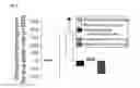 Fig. 07 - Methods and compositions for treating pain