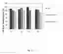 Fig. 09 - PHARMACEUTICAL FORMULATION FOR A THERAPEUTIC ANTIBODY