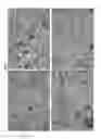 Fig. 10 - Silk microspheres and methods for surface lubrication