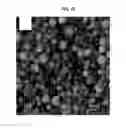 Fig. 19 - Silk microspheres and methods for surface lubrication