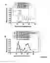 Fig. 13 - COMPOSITIONS AND METHODS FOR ANTIGEN-SPECIFIC TOLERANCE