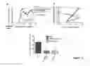 Fig. 15 - COMPOSITIONS AND METHODS FOR ANTIGEN-SPECIFIC TOLERANCE