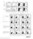 Fig. 22 - COMPOSITIONS AND METHODS FOR ANTIGEN-SPECIFIC TOLERANCE