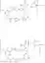 Fig. 28 - MAYTANSINOID DERIVATIVES