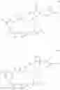 Fig. 53 - MAYTANSINOID DERIVATIVES