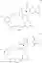 Fig. 55 - MAYTANSINOID DERIVATIVES