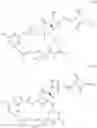 Fig. 56 - MAYTANSINOID DERIVATIVES
