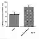 Fig. 05 - METHODS AND COMPOSITIONS OF MODULATING TUMOR INITIATING CELLS AND THE USE THEREOF