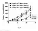 Fig. 20 - METHODS AND COMPOSITIONS OF MODULATING TUMOR INITIATING CELLS AND THE USE THEREOF