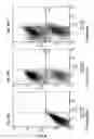 Fig. 28 - METHODS AND COMPOSITIONS OF MODULATING TUMOR INITIATING CELLS AND THE USE THEREOF