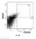 Fig. 37 - METHODS AND COMPOSITIONS OF MODULATING TUMOR INITIATING CELLS AND THE USE THEREOF