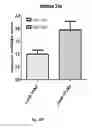 Fig. 44 - METHODS AND COMPOSITIONS OF MODULATING TUMOR INITIATING CELLS AND THE USE THEREOF