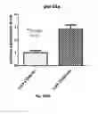 Fig. 46 - METHODS AND COMPOSITIONS OF MODULATING TUMOR INITIATING CELLS AND THE USE THEREOF