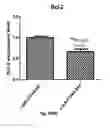 Fig. 47 - METHODS AND COMPOSITIONS OF MODULATING TUMOR INITIATING CELLS AND THE USE THEREOF