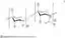 Fig. 22 - Microparticles and nanoparticles made up of hydrophobized polysaccharides and an alpha-cyclodextrine