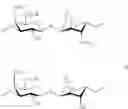 Fig. 76 - Microparticles and nanoparticles made up of hydrophobized polysaccharides and an alpha-cyclodextrine
