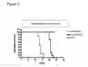 Fig. 04 - Gene therapy for lysosomal storage diseases