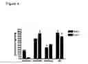 Fig. 05 - Gene therapy for lysosomal storage diseases