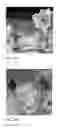 Fig. 04 - Method and device for disinfection and/or purification of a product